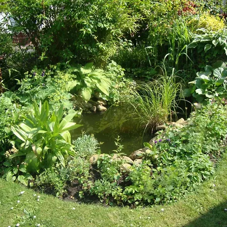 Tauchparadies Kreidesee